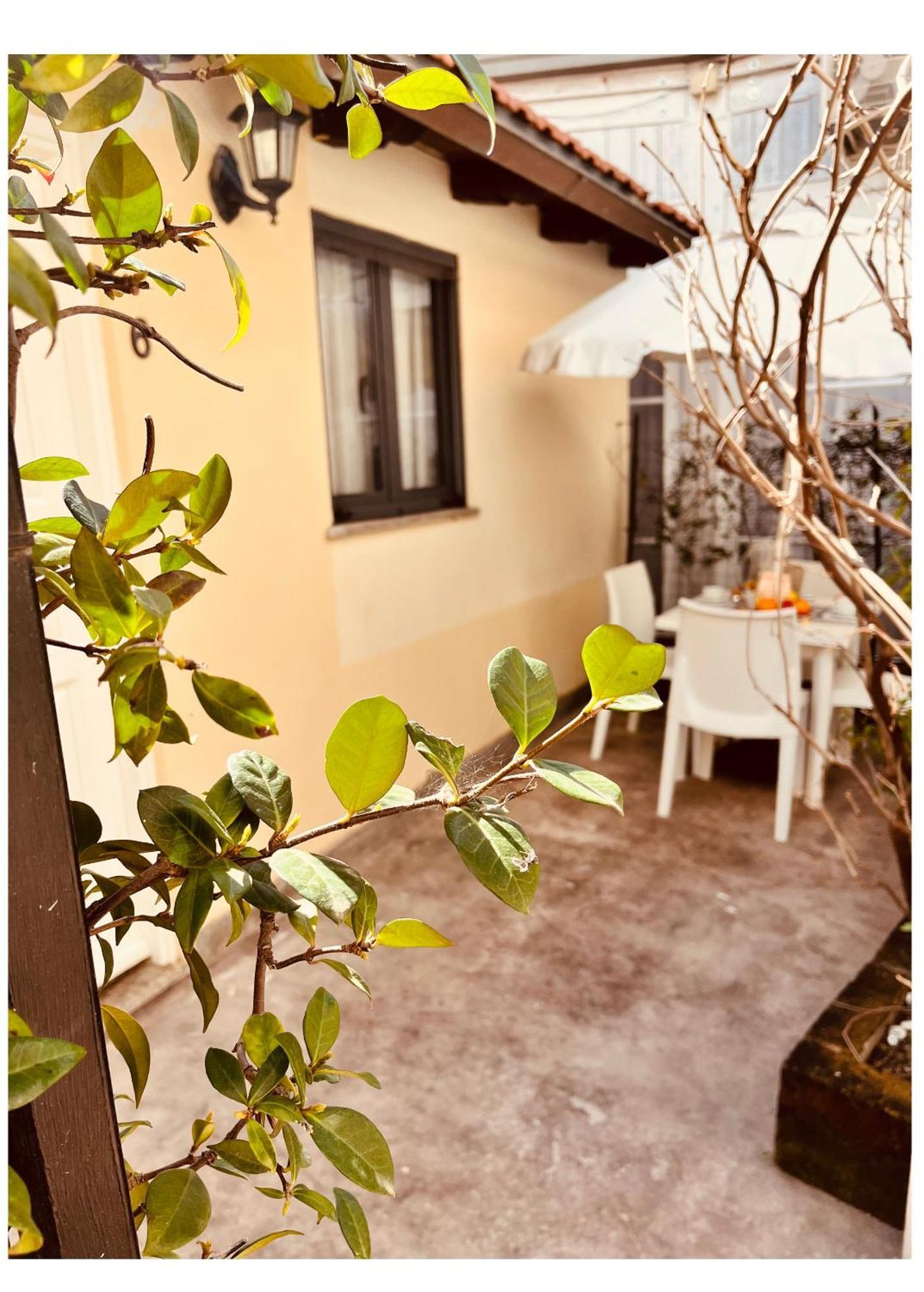 טרקיניה Hotel La Torraccia מראה חיצוני תמונה